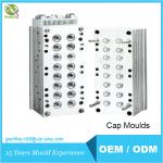 Buy cheap CAP MOULDS 006 from wholesalers