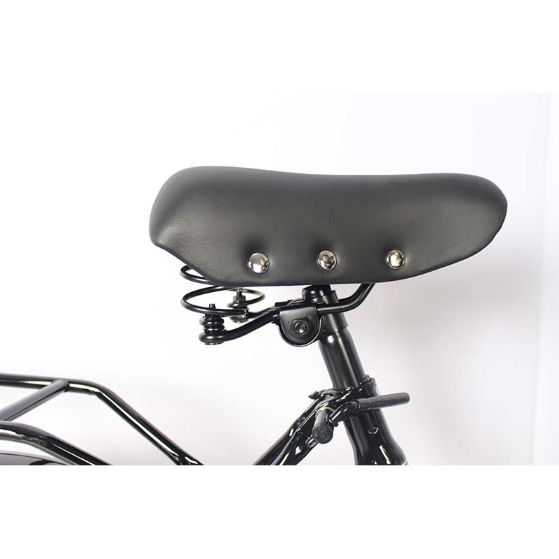 Aluminum Alloy Steel City Bikes Ladies Cycle 20 Inch With Ordinary Pedal