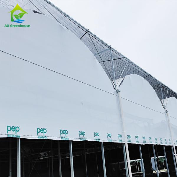 Buy cheap Comercial Full Dark Light Deprivation Greenhouse Hot Galvanized from wholesalers