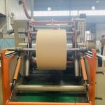 Brown Eco PE Coated Kraft Paper Roll 300G