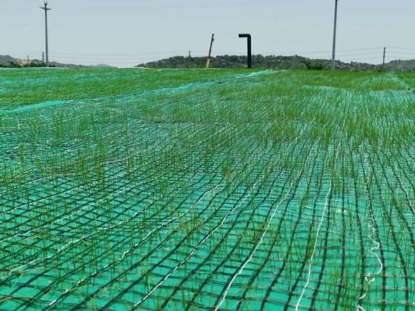 Buy cheap Geocomposite Vegetation Coconut Fiber Mat Reinforced By Nonwoven And Geogrid from wholesalers