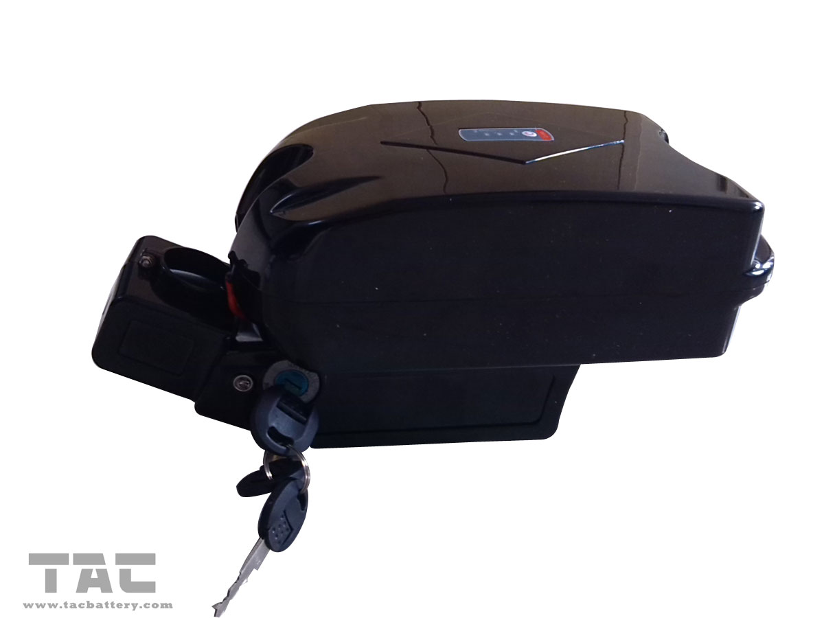 Plastic Shell LiFePO4 Battery Electric Bike Battery Pack For E-bike, Segway