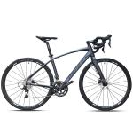 Ordinary Pedal Chinese Bicycle Aluminium Frame Speed Cycle for Adult Race Road