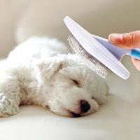 Buy cheap Anti - Rust Pet Hair Brush / Dog Dematting Tool Rotatable Waterproof Easy Clean product