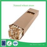 Supply Eco-friend natural wheat drinking straws in 13-30 cm earth's natural