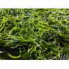 Buy cheap Organic Edible Phaeophyceae Kelp Fronds Umami Sea Vegetables For Salads Or Stir Fries from wholesalers