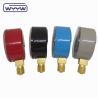 Buy cheap Natural Gas Pressure Gauge Manometer 50mm Color Pressure Gauge from wholesalers