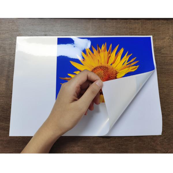 Buy cheap 110gsm Glossy Sticker Photo Paper from wholesalers