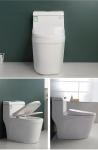 Siphonic S Trap 300mm Sanitary Ware Toilet Modern Comfort Height