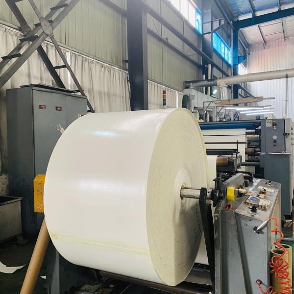 Buy cheap 160Gram Paper Cup Raw Material Flexographic PE Paper Roll from wholesalers