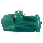 Universal Motor / Flour Mill Motor / Blender Motor / Food Processor Motor