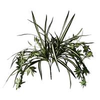 Buy cheap Fire Retardant Anti UV Artificial Spider Plant , Silk Spider Plant Aesthetic product