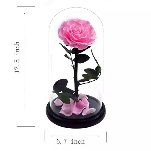 Buy cheap Natural Fresh Roses Flowers Everlasting Preserved Eternal Rose beautiful Rose Preserved Flower from wholesalers