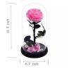 Buy cheap Natural Fresh Roses Flowers Everlasting Preserved Eternal Rose beautiful Rose Preserved Flower from wholesalers