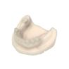 Buy cheap Beige Orthodontic Opposite Jaw Model Resin from wholesalers