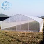 Tunnel Single Span Greenhouse For Vegetables Growing Agricultural Farming