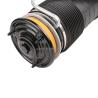 Buy cheap Mercedes-Benz 221 S600 Rear Right Hydraulic Shock Absorber 2213200313 for Replacement from wholesalers