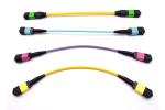 24 Core MPO To MPO Fiber Cable 40 Gb Multimode Fiber Optic Patch Cord