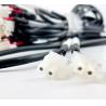 Buy cheap Male To Female Medical Wire Harness 2 Pin Flexible RF Cables from wholesalers