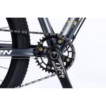 Manufacture 12 Speed Gears Mountain Bike with Double Wall Rim and Classic Design