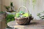 wicker basket manufacturer wicker garden basket willow plant baskets stock fast