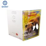 OEM Happy Birthday Musical Greeting Card Glossy Lamination