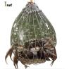 Buy cheap Customized Crab Net Bait Cage Foldable Crab Catching Cage For Ultimate Catch from wholesalers
