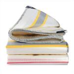 Stripe Style Pe Tarpaulin 100% Virgin Plastic Waterproof Tarps for Outdoor