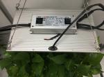120Watt 360nm Full Spectrum LED Grow Lights For Plants
