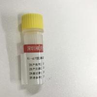 Buy cheap KISSH Primary Antibody Products Ki-67 Immunoassay Antibody Test IHC 1.5mL 3.0mL product