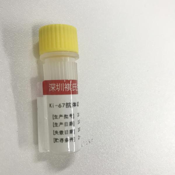 Buy cheap KISSH Primary Antibody Products Ki-67 Immunoassay Antibody Test IHC 1.5mL 3.0mL from wholesalers