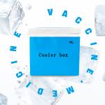 Vaccum Insulated Pannel Shippers VIP Cold Box Maintain Long Cold Time