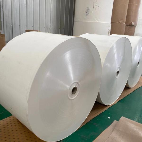 Buy cheap White 190g-310g Ivory Paper Sheet 100 Virgin Wood Pulp No Printed from wholesalers