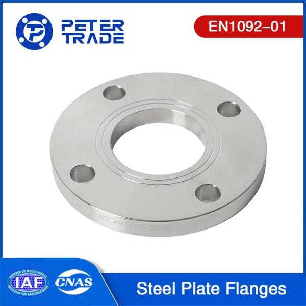 Buy cheap EN1092-01 Standard TYPE 01 Stainless Steel Plate Flange SS304 SS316L PN 2.5 PLFF Flat Face from wholesalers
