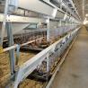 Buy cheap Automatic Cage For Chicks , 264 Birds Capacity Layer Poultry Farm Cage from wholesalers