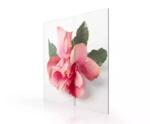 3.9mm Indoor Rental Video Wall Panel , P3.91 Transparent Glass Led Display