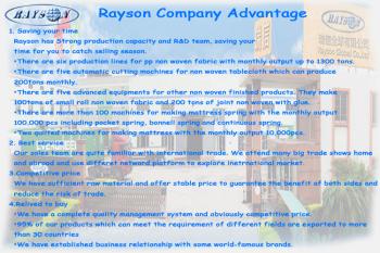 Foshan Rayson Non Woven Co.,Ltd