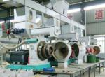 Complete Biomass Pellet Plant Ring Die Wood Press Thailand 5-6t/h