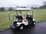 Left Hand Drive 2 Seats Electric Car Golf Cart With Deep Recycle Batteries