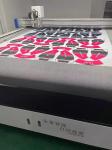 Automatic Knife Cutting Machine Fabric Leather Laser Cutting Machine Vision