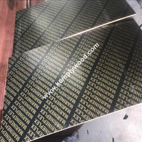 Buy cheap Used core film faced plywood to Saudi Arabia,Finger joint shuttering plywood, cheap price film faced plywood from wholesalers