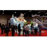 Buy cheap new design Commercial inflatable slide for sale from wholesalers