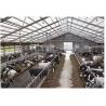 Buy cheap Steel Structure Cow House Design Cow Farm House Farm Shed Steel Structure Workshop from wholesalers