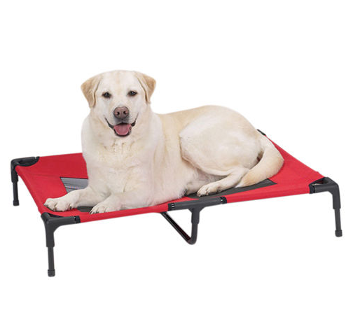 elevated dog bed