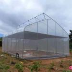 Cheap Good Price Plastic Film Tropical Tunnel House Single-Span Sawtooth Top