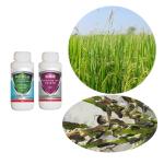 10% Chlorfenapyr Biological Pesticide Bacillus Thuringiensis Israelensis BTI