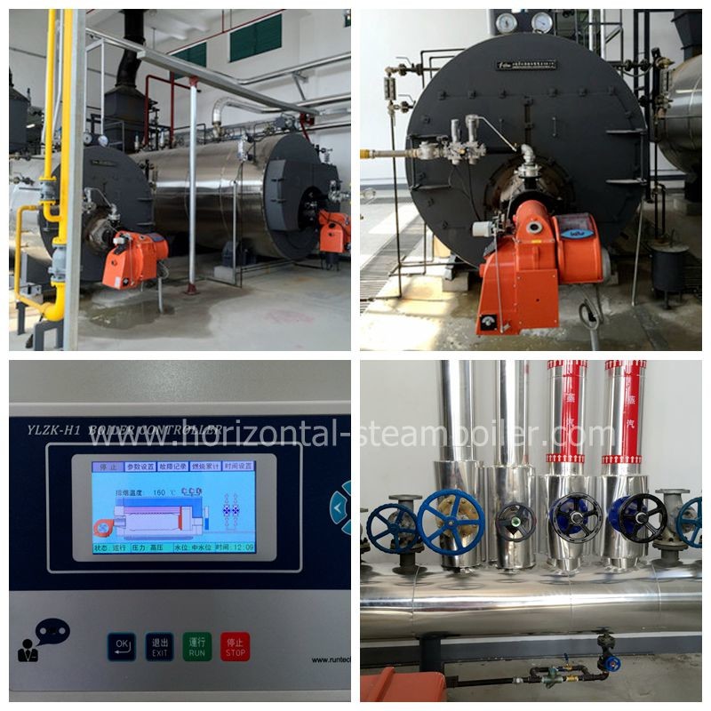 Natural Gas Steam Boiler Fruits Dehydration Line Automatic Running
