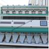 Buy cheap Corn Optical CCD 99% Food Sorting Machine from wholesalers