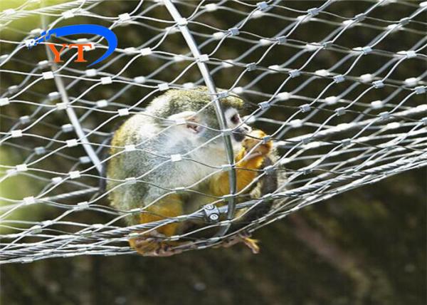 Buy cheap Ferruled Zoo Wire Mesh 3.2mm Stainless Steel Bird Cage Wire 30x30mm from wholesalers