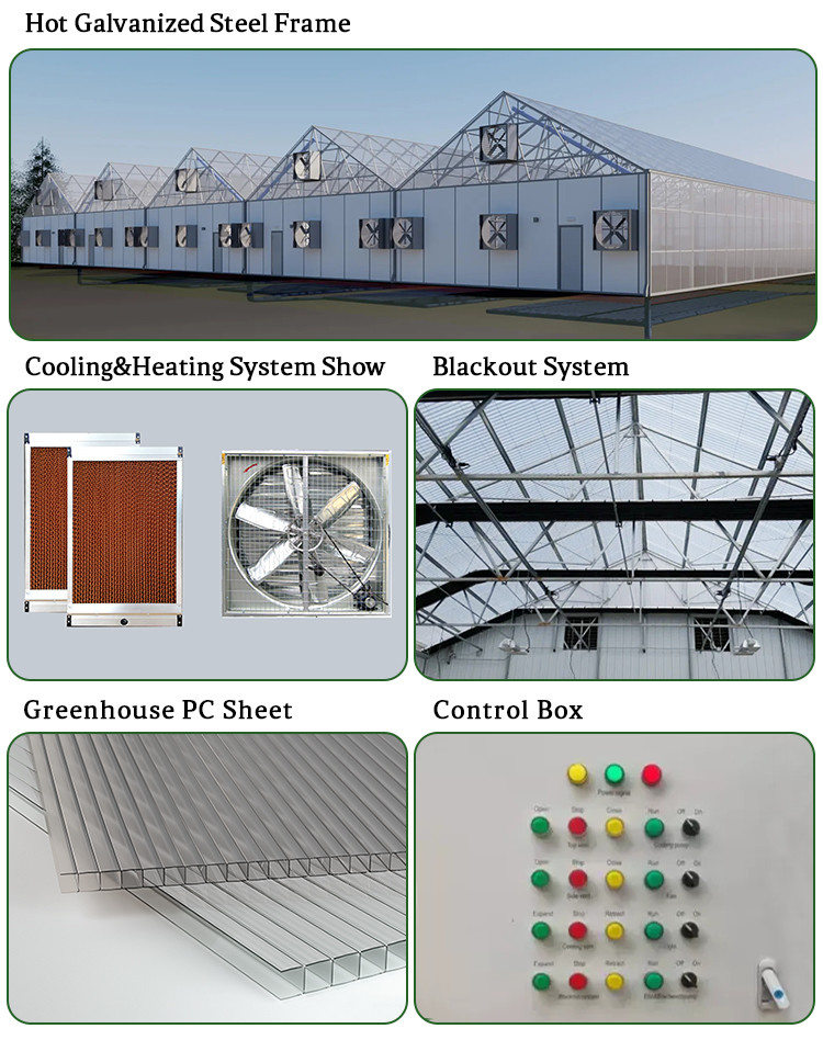 Blackout System Polycarbonate Auto Light Dep Poly Greenhouses 30-60m